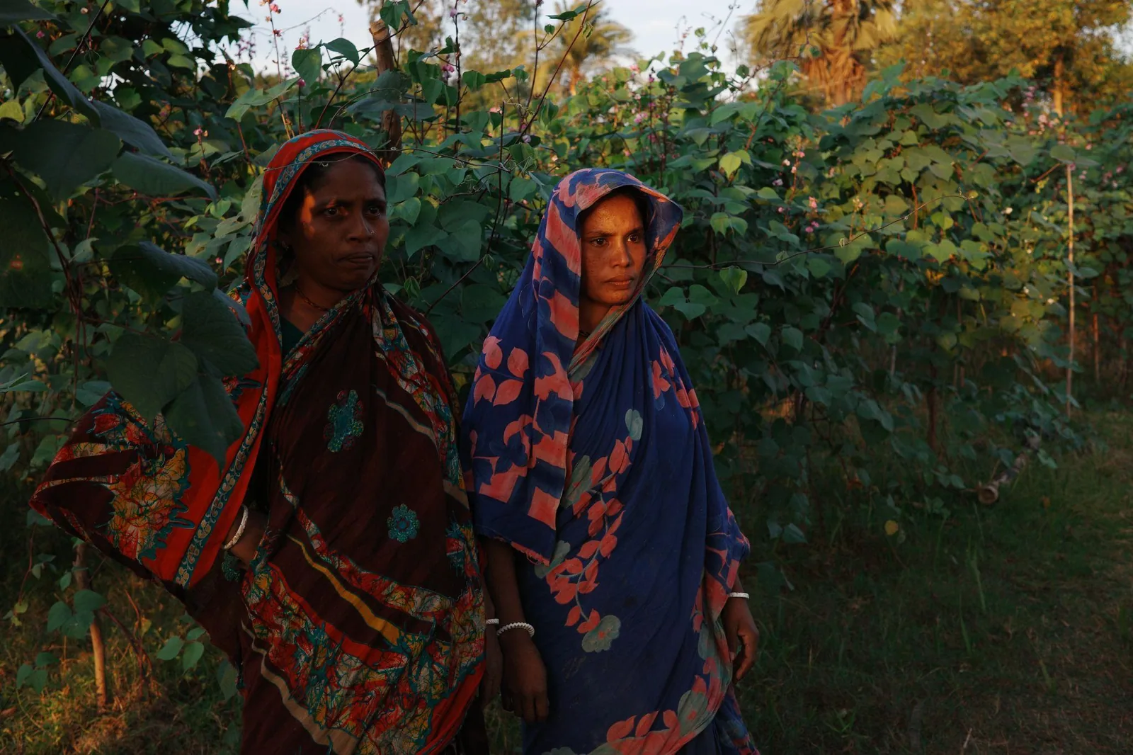 Two women in bright saris among the garden greens