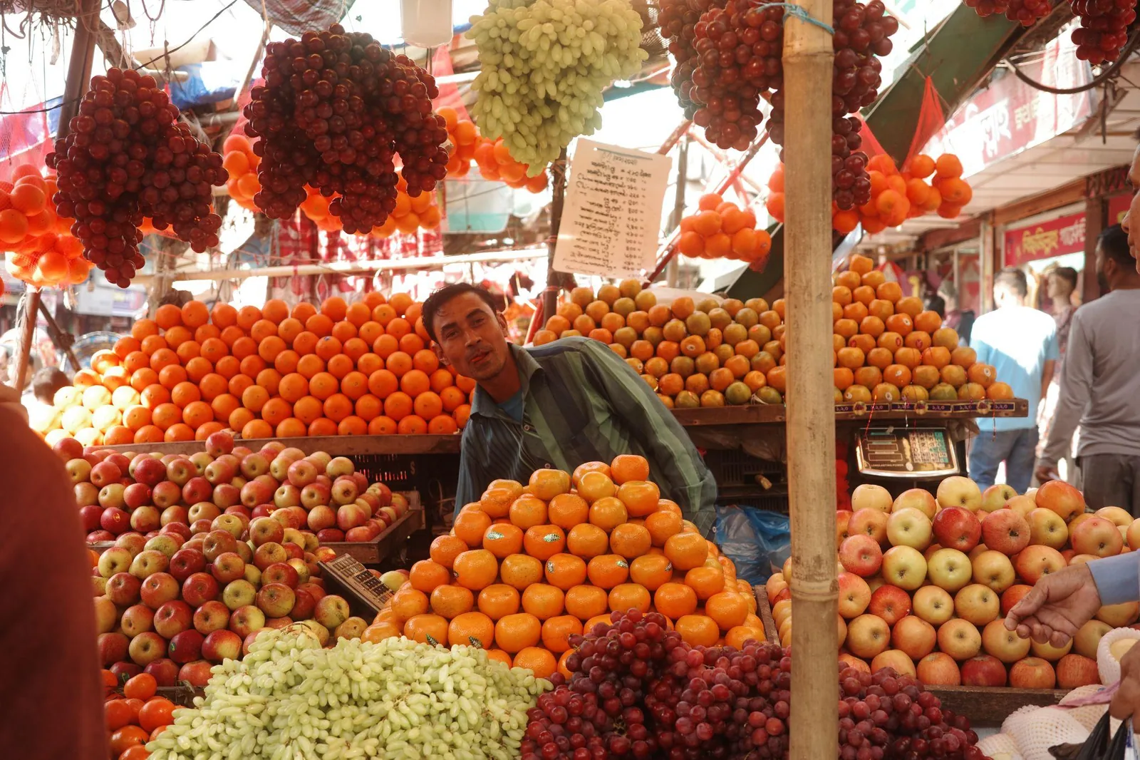 A fruit seller behind stacked oranges, apples and hanging grapes